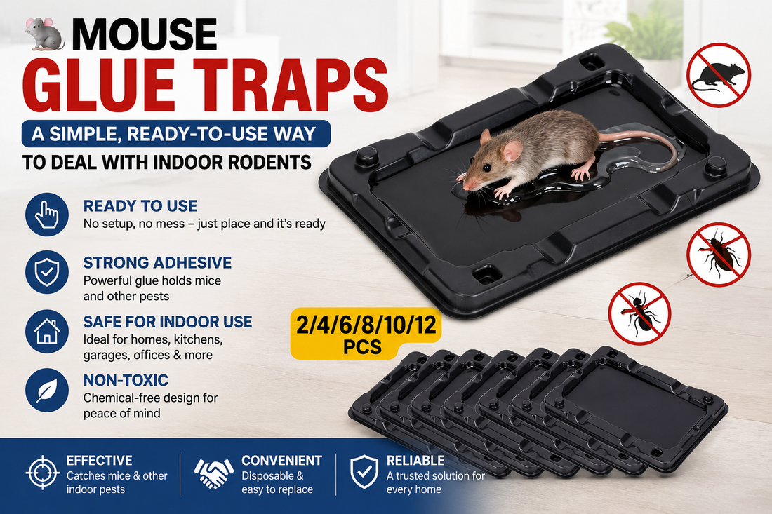 Mouse Glue Traps | Ready-to-Use Indoor Rodent Control