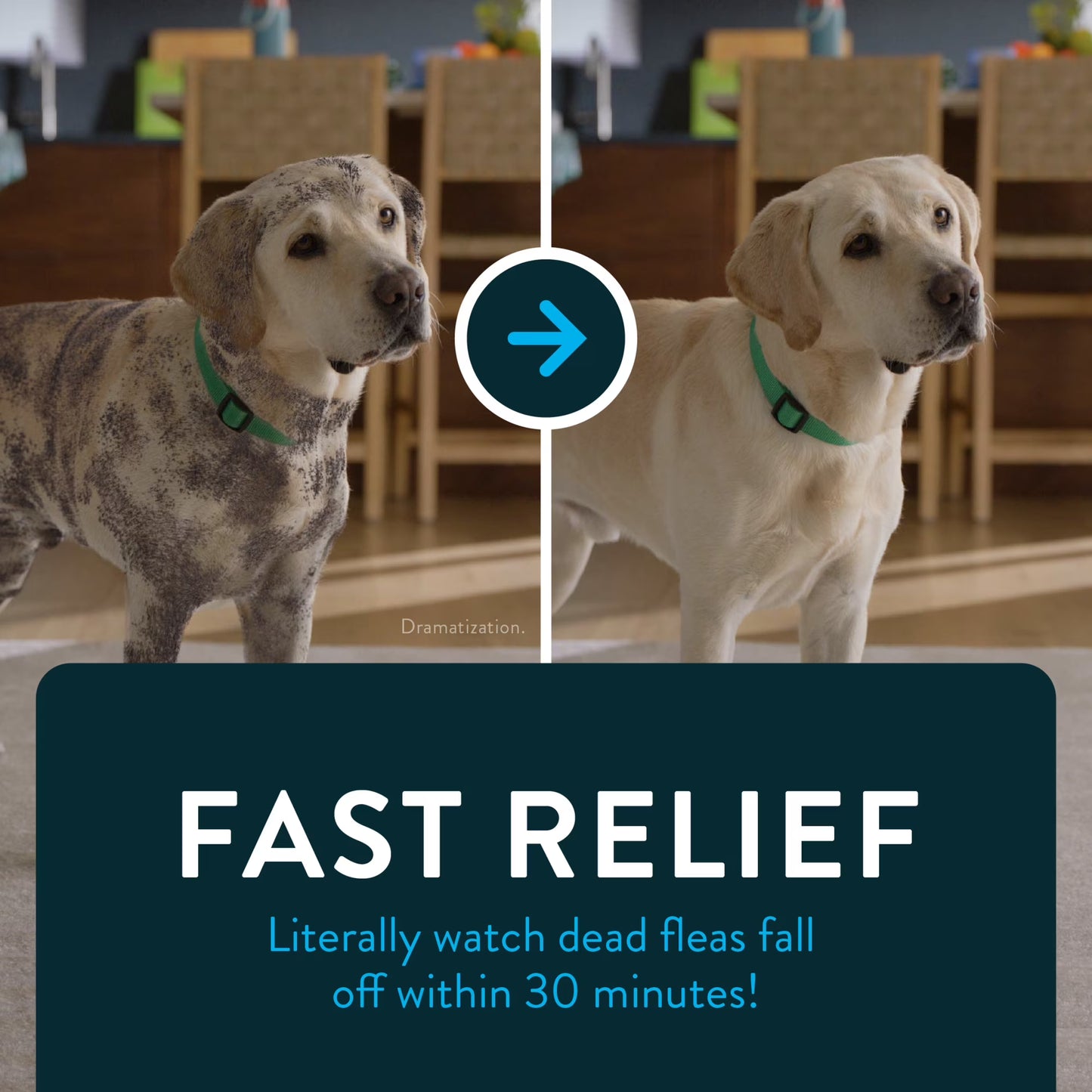CAPSTAR Fast-Acting Oral Flea Treatment for Small Dogs 2–25 lbs – 6 Tablets