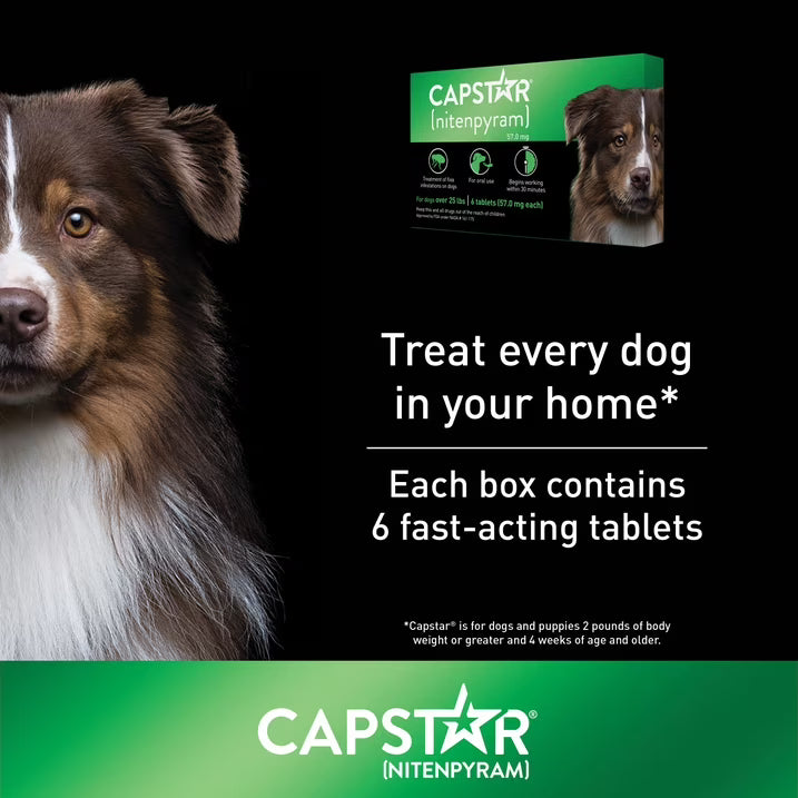 CAPSTAR Fast-Acting Oral Treatment, Large Dogs over 25 lbs 6 Tabs