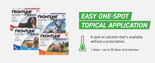 FRONTLINE Plus for Dogs Flea & Tick Treatment, Small Dog, 5-22 lbs, 6 Doses
