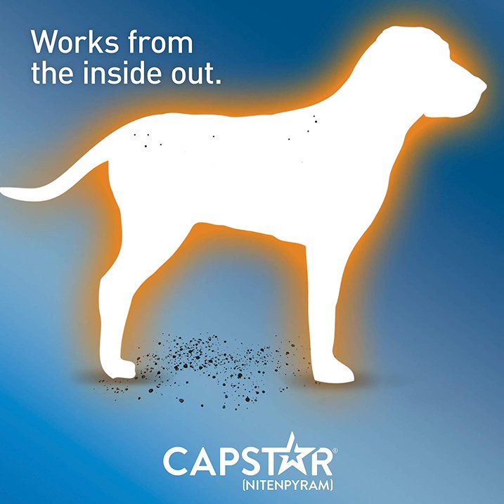 CAPSTAR Fast-Acting Oral Treatment, Large Dogs over 25 lbs 6 Tabs