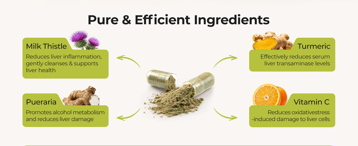 Oxyenergy Milk Thistle Supplement with 80% Silymarin, Dietary Supplement
