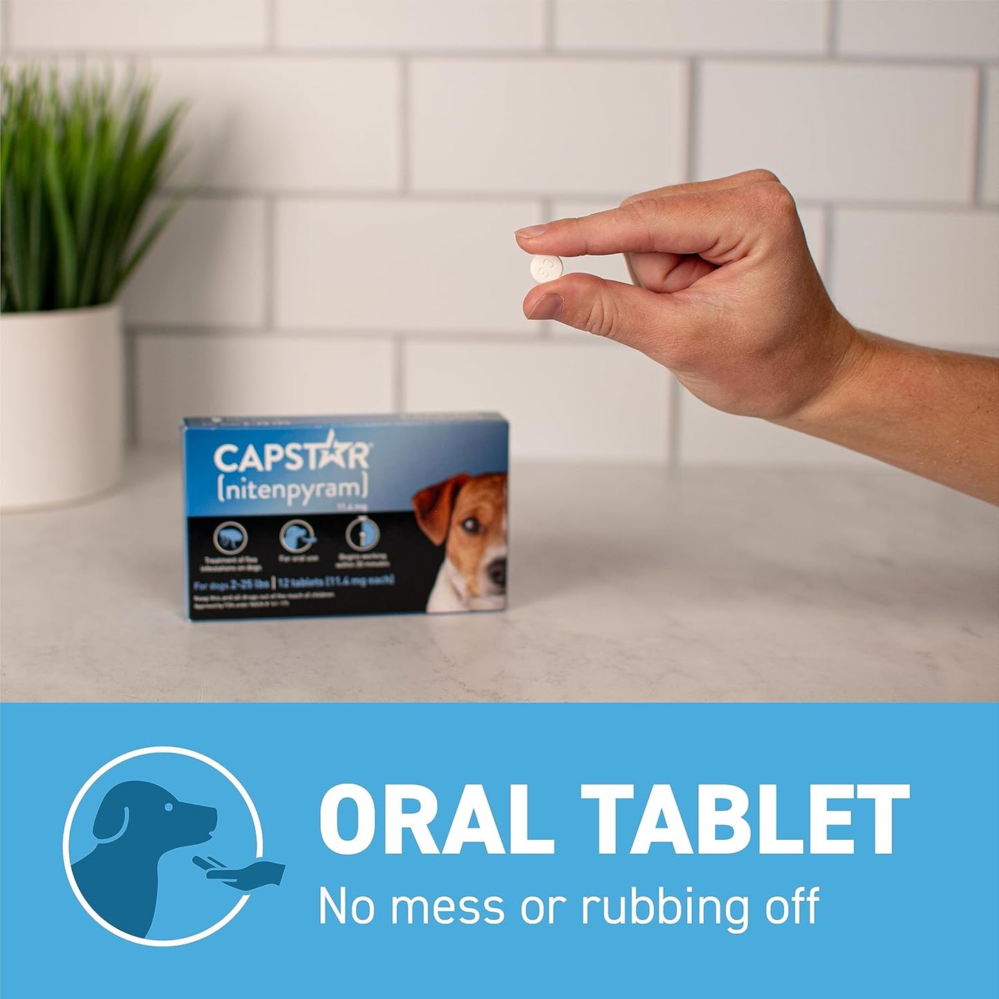 CAPSTAR Fast-Acting Oral Flea Treatment for Small Dogs 2–25 lbs – 6 Tablets