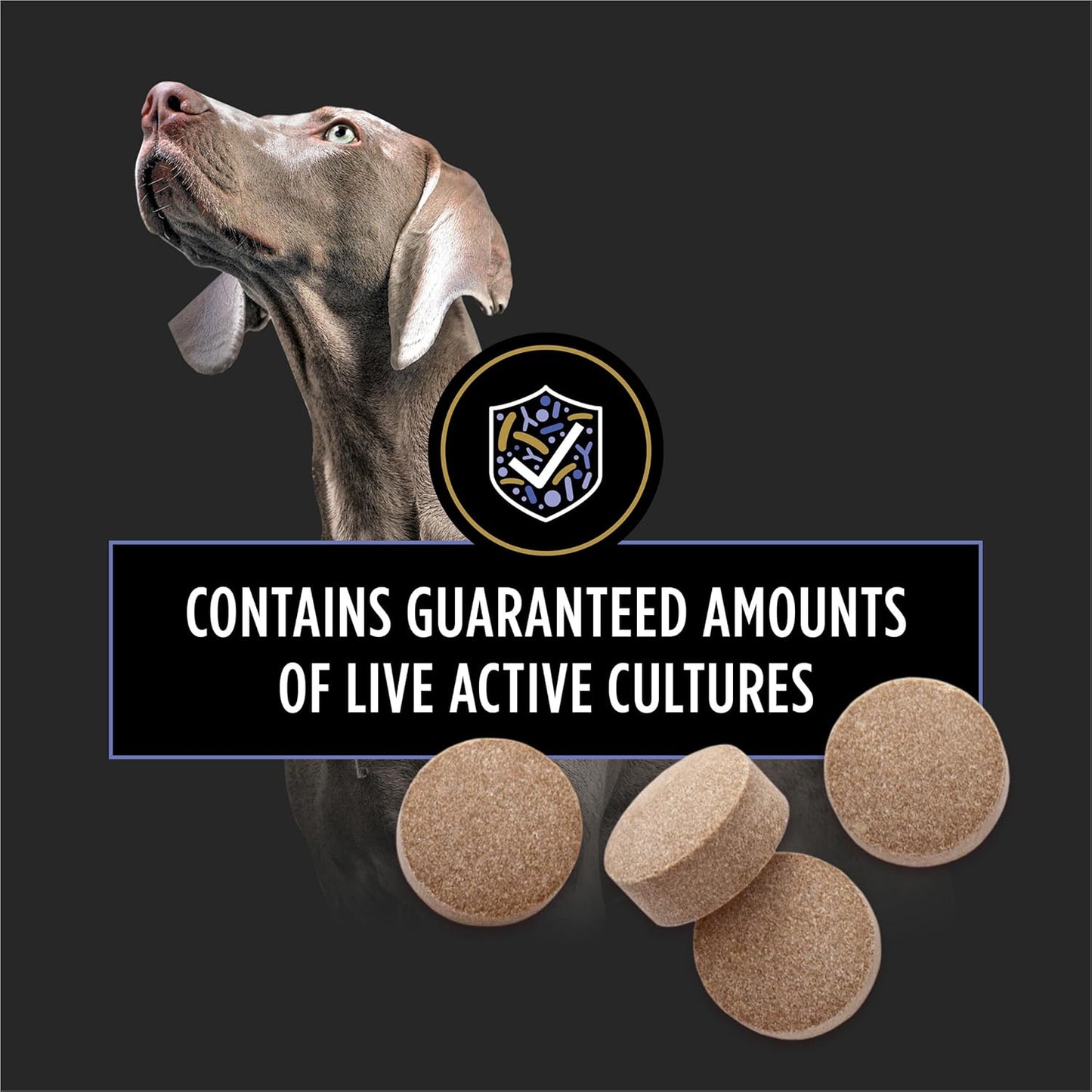 Purina Pro Plan FortiFlora Probiotic Supplements for Dogs – 90 Chewable Tablets