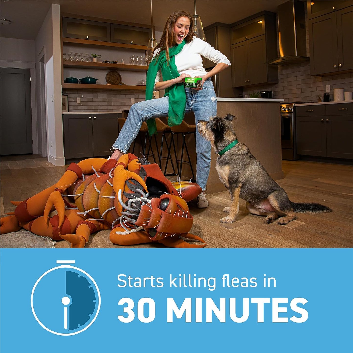 CAPSTAR Fast-Acting Oral Flea Treatment for Small Dogs 2–25 lbs – 6 Tablets