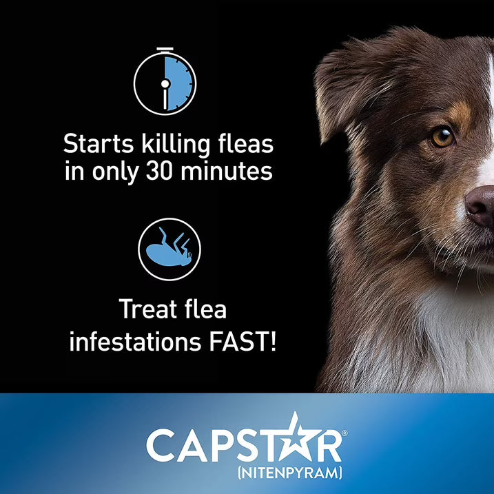 CAPSTAR Fast-Acting Oral Treatment, Large Dogs over 25 lbs 6 Tabs