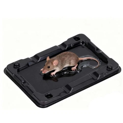 Mouse Glue Traps Large Glue Traps for Mice and Rats Indoor Sticky Traps  2pcs